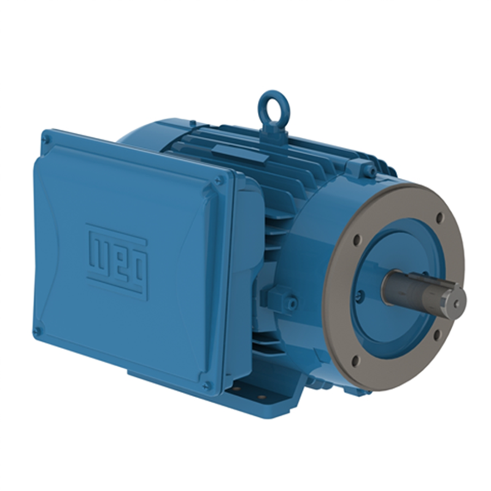MOTOR SINGLE PHASE 10 HORSE POWER